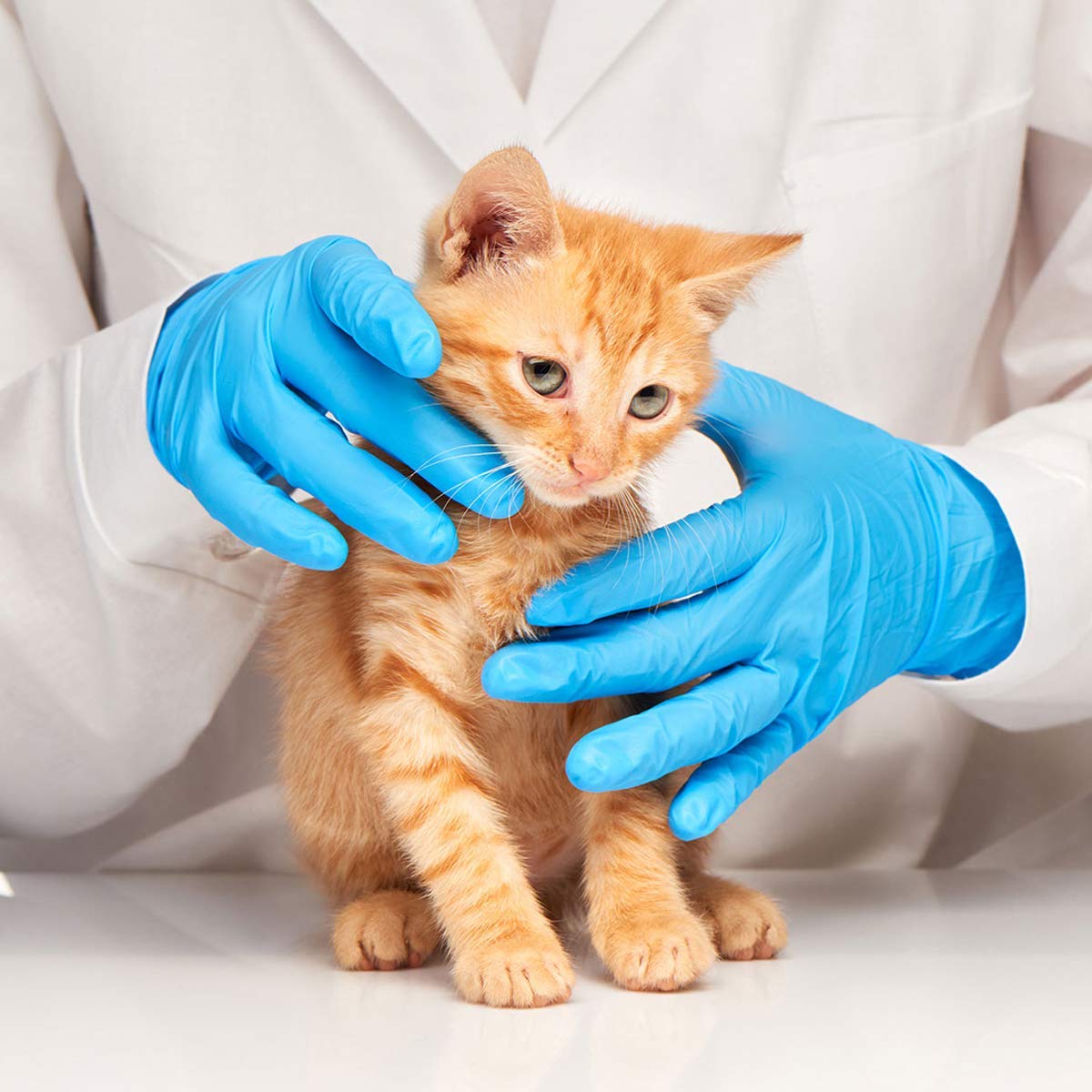 Latex-Free Blue Nitrile Exam G - Exam Glove Nitrile avis et prix