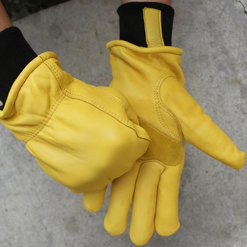 Mens Motorcycle Winter Gloves  - Winter Glove Insulated avis et prix